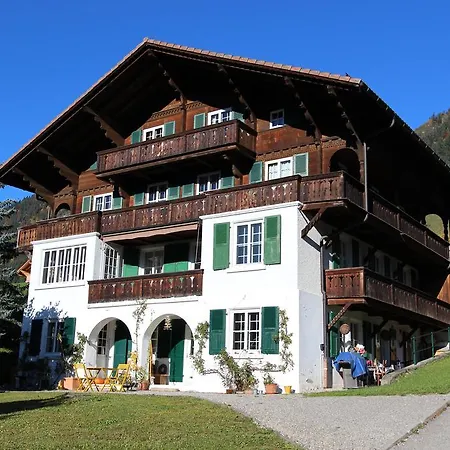 Arnica 1 * Chateau-d'Oex