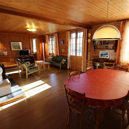 Arnica 1 * Château-d'Œx