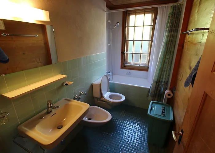 Arnica 1 * Chateau-d'Oex